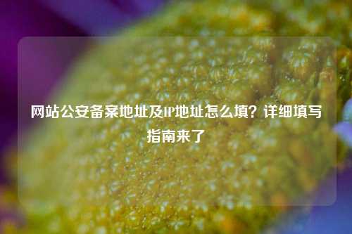 网站公安备案地址及IP地址怎么填？详细填写指南来了