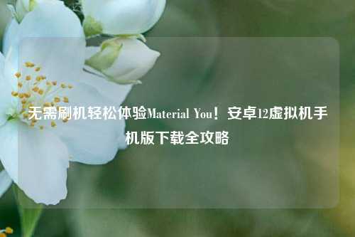 无需刷机轻松体验Material You！安卓12虚拟机手机版下载全攻略