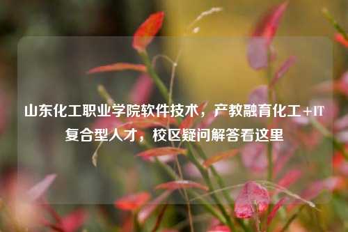 山东化工职业学院软件技术，产教融育化工+IT复合型人才，校区疑问解答看这里