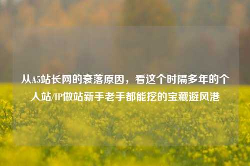 从A5站长网的衰落原因，看这个时隔多年的个人站/IP做站新手老手都能挖的宝藏避风港