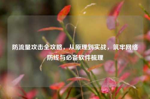 防流量攻击全攻略,从原理到实战,筑牢网络防线与必备软件梳理
