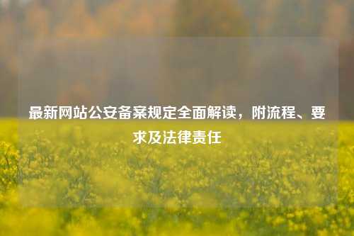 最新网站公安备案规定全面解读，附流程、要求及法律责任