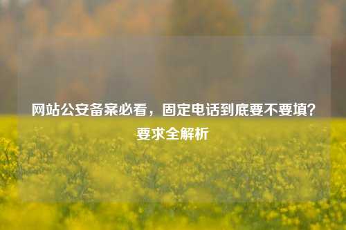 网站公安备案必看，固定电话到底要不要填？要求全解析