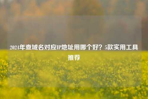 2024年查域名对应IP地址用哪个好？5款实用工具推荐