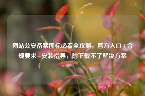 网站公安备案图标必看全攻略,官方入口+合规要求+安装指导,附下载不了解决方案