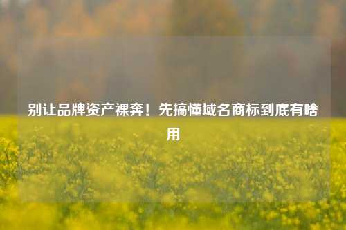 别让品牌资产裸奔!先搞懂域名商标到底有啥用