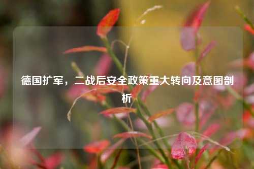 德国扩军,二战后安全政策重大转向及意图剖析