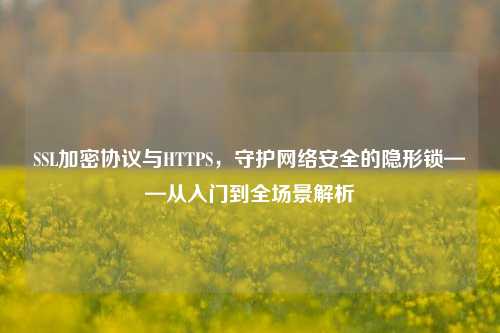 SSL加密协议与HTTPS,守护网络安全的隐形锁——从入门到全场景解析