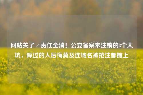 网站关了≠责任全消！公安备案未注销的3个大坑，踩过的人后悔莫及连域名被抢注都摊上
