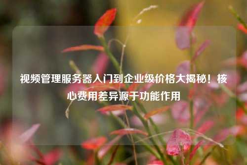 视频管理服务器入门到企业级价格大揭秘!核心费用差异源于功能作用