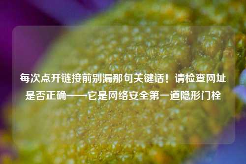 每次点开链接前别漏那句关键话！请检查网址是否正确——它是网络安全第一道隐形门栓