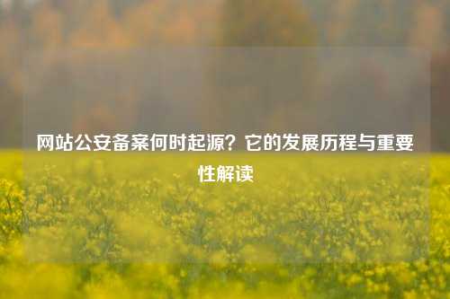 网站公安备案何时起源？它的发展历程与重要性解读