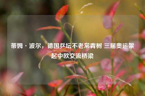 蒂姆·波尔，德国乒坛不老常青树 三届奥运架起中欧交流桥梁