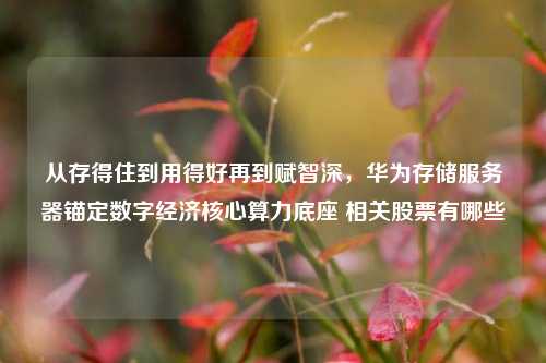 从存得住到用得好再到赋智深，华为存储服务器锚定数字经济核心算力底座 相关股票有哪些