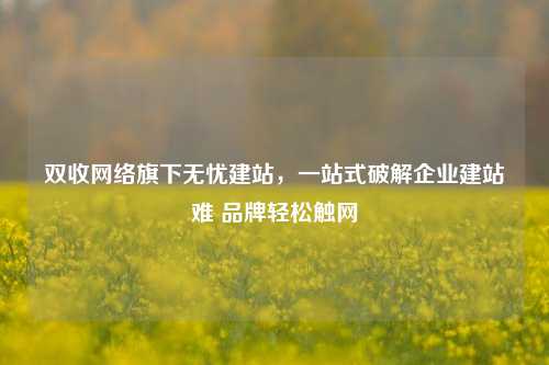 双收网络旗下无忧建站,一站式破解企业建站难 品牌轻松触网