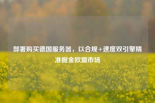 部署购买德国服务器，以合规+速度双引擎精准掘金欧盟市场