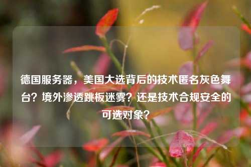 德国服务器，美国大选背后的技术匿名灰色舞台？境外渗透跳板迷雾？还是技术合规安全的可选对象？