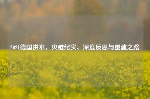 2021德国洪水,灾难纪实、深度反思与重建之路