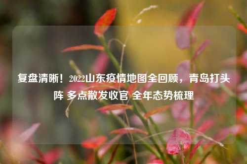 复盘清晰!2022山东疫情地图全回顾,青岛打头阵 多点散发收官 全年态势梳理