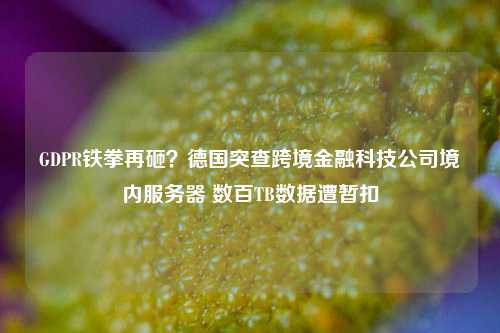 GDPR铁拳再砸？德国突查跨境金融科技公司境内服务器 数百TB数据遭暂扣