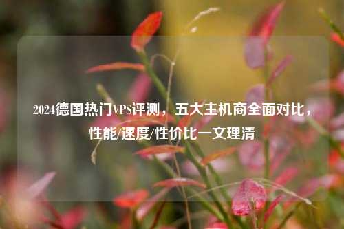 2024德国热门VPS评测,五大主机商全面对比,性能/速度/性价比一文理清