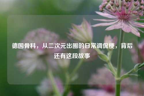 德国骨科,从二次元出圈的日常调侃梗,背后还有这段故事