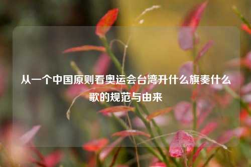从一个中国原则看奥运会台湾升什么旗奏什么歌的规范与由来