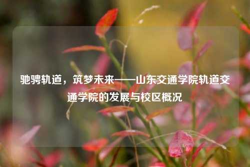驰骋轨道，筑梦未来——山东交通学院轨道交通学院的发展与校区概况