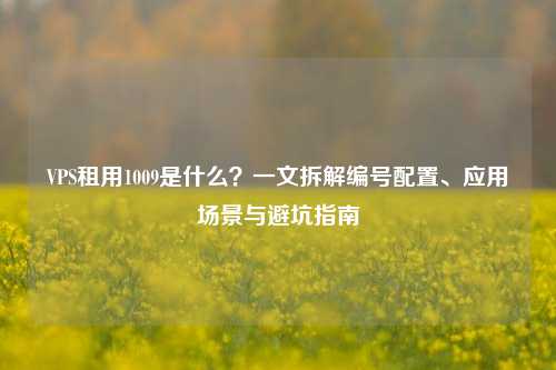 VPS租用1009是什么？一文拆解编号配置、应用场景与避坑指南