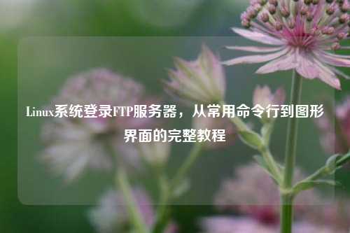 Linux系统登录FTP服务器，从常用命令行到图形界面的完整教程