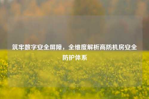 筑牢数字安全屏障，全维度解析高防机房安全防护体系