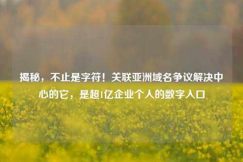 揭秘，不止是字符！关联亚洲域名争议解决中心的它，是超1亿企业个人的数字入口