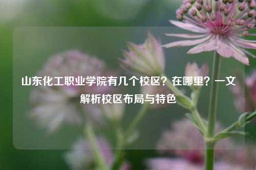 山东化工职业学院有几个校区？在哪里？一文解析校区布局与特色