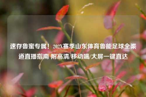 速存鲁蜜专属!202X赛季山东体育鲁能足球全渠道直播指南 附高清/移动端/大屏一键直达