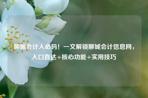 聊城会计人必码!一文解锁聊城会计信息网,入口直达+核心功能+实用技巧