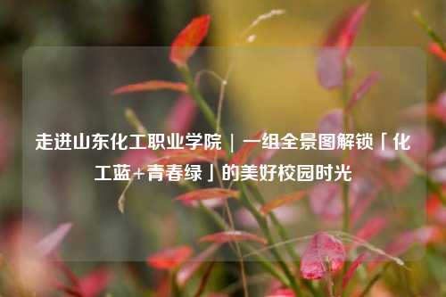 走进山东化工职业学院 | 一组全景图解锁「化工蓝+青春绿」的美好校园时光
