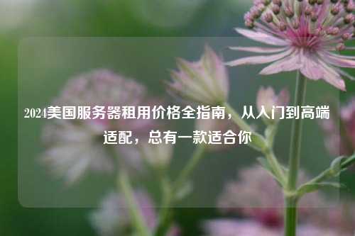 2024美国服务器租用价格全指南，从入门到高端适配，总有一款适合你