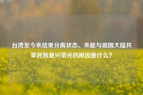 台湾至今未结束分离状态、未能与祖国大陆共享民族复兴荣光的原因是什么？
