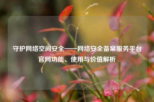 守护网络空间安全——网络安全备案服务平台官网功能、使用与价值解析