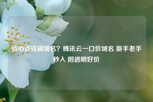 省心省钱搞域名？腾讯云一口价域名 新手老手秒入 附透明好价