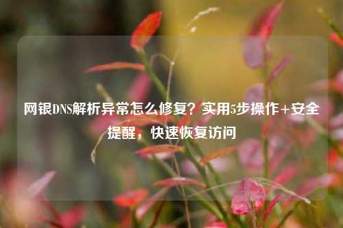 网银DNS解析异常怎么修复？实用5步操作+安全提醒，快速恢复访问