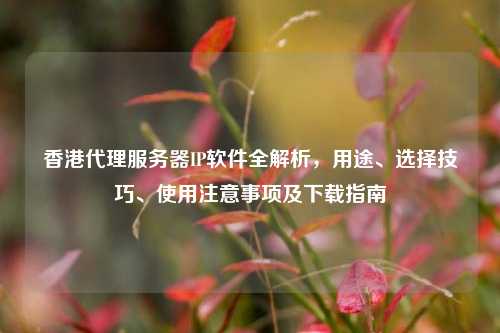 香港代理服务器IP软件全解析，用途、选择技巧、使用注意事项及下载指南