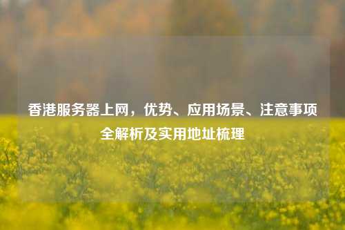 香港服务器上网，优势、应用场景、注意事项全解析及实用地址梳理