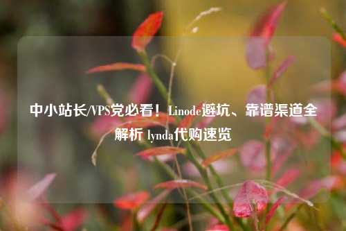 中小站长/VPS党必看！Linode避坑、靠谱渠道全解析 lynda代购速览