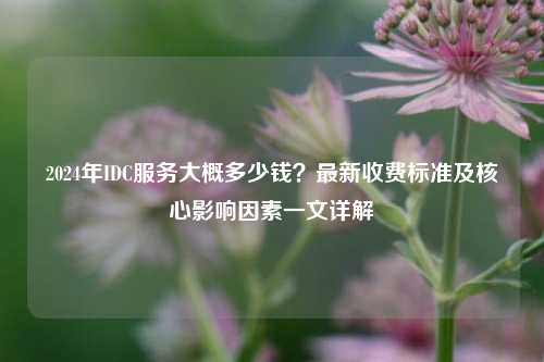 2024年IDC服务大概多少钱？最新收费标准及核心影响因素一文详解