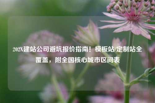 202X建站公司避坑报价指南！模板站/定制站全覆盖，附全国核心城市区间表