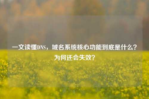 一文读懂DNS，域名系统核心功能到底是什么？为何还会失效？