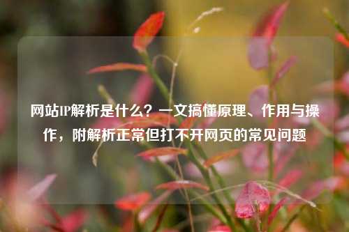 网站IP解析是什么?一文搞懂原理、作用与操作,附解析正常但打不开网页的常见问题