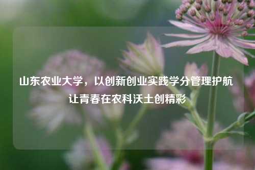 山东农业大学，以创新创业实践学分管理护航 让青春在农科沃土创精彩