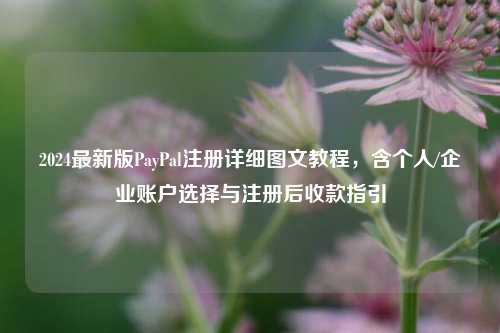 2024最新版PayPal注册详细图文教程，含个人/企业账户选择与注册后收款指引